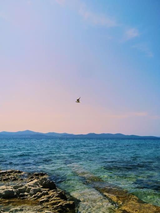 Dalmatia Rustica Comfortable One Bedroom+Fireplace Zadar Zewnętrze zdjęcie