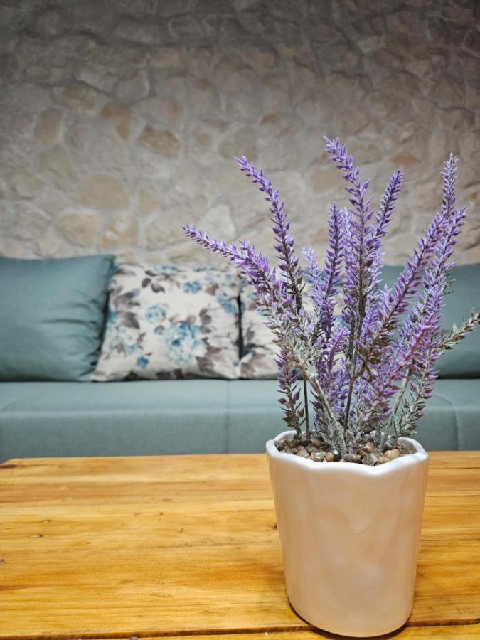 Dalmatia Rustica Comfortable One Bedroom+Fireplace Zadar Zewnętrze zdjęcie